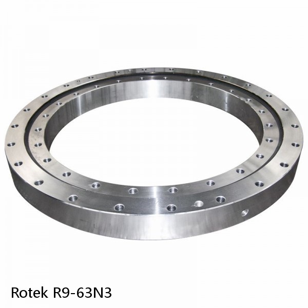 R9-63N3 Rotek Slewing Ring Bearings #1 small image