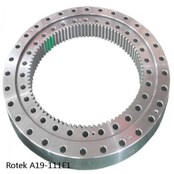A19-111E1 Rotek Slewing Ring Bearings #1 small image