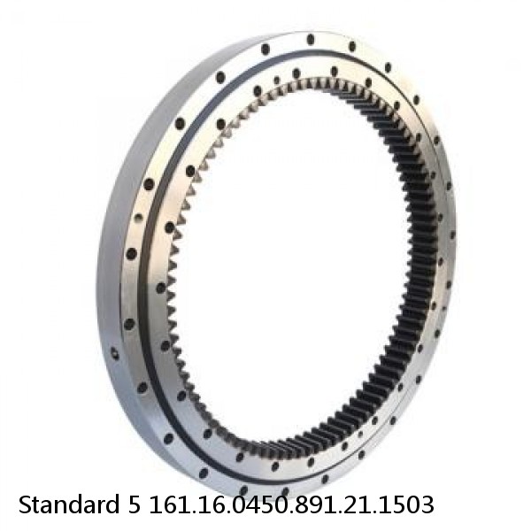 161.16.0450.891.21.1503 Standard 5 Slewing Ring Bearings #1 small image
