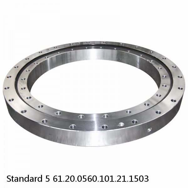 61.20.0560.101.21.1503 Standard 5 Slewing Ring Bearings #1 small image
