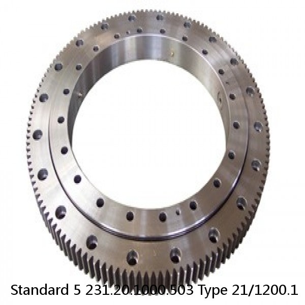 231.20.1000.503 Type 21/1200.1 Standard 5 Slewing Ring Bearings
