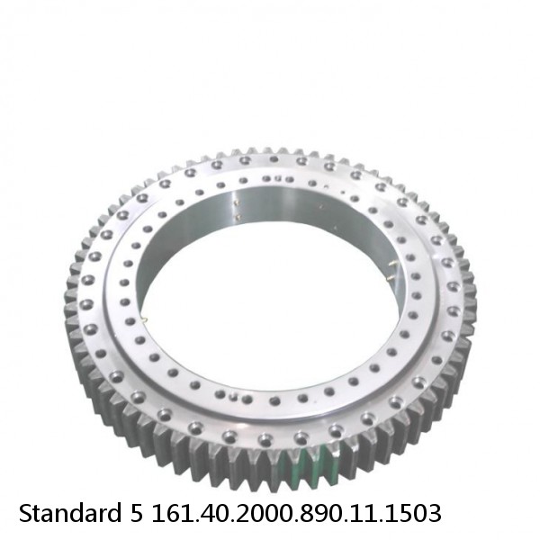 161.40.2000.890.11.1503 Standard 5 Slewing Ring Bearings #1 small image