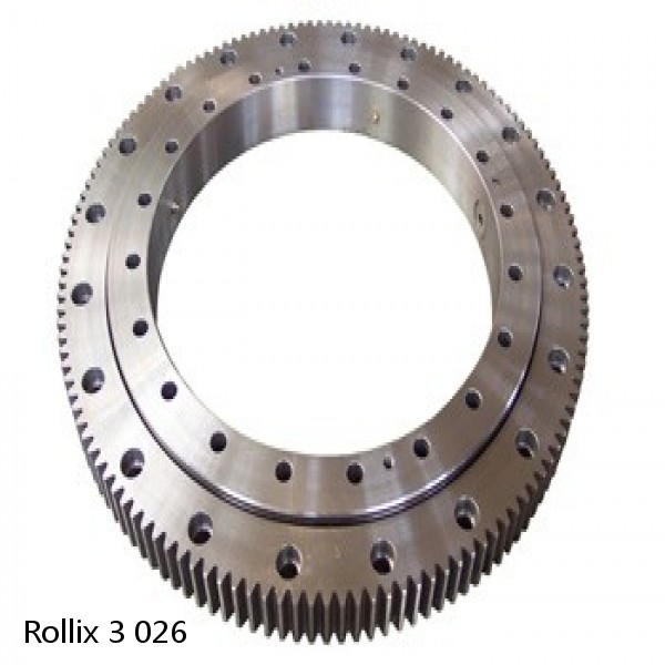 3 026 Rollix Slewing Ring Bearings
