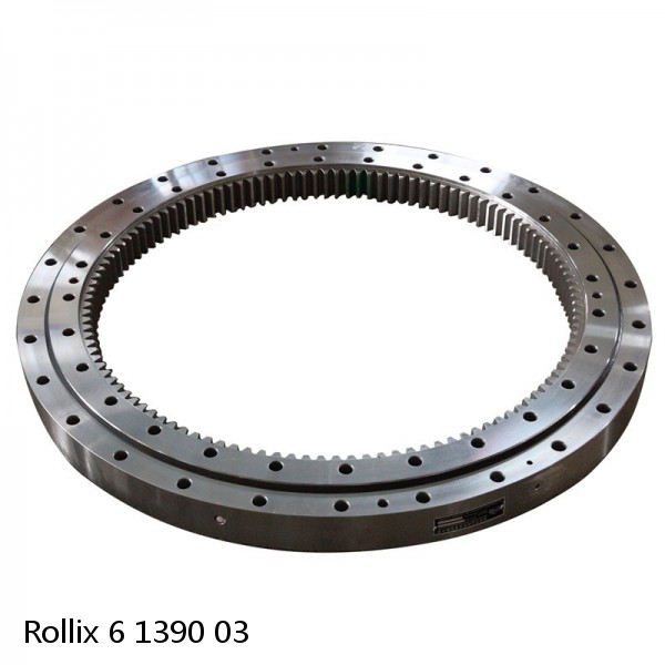 6 1390 03 Rollix Slewing Ring Bearings #1 small image