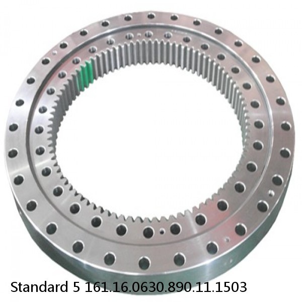 161.16.0630.890.11.1503 Standard 5 Slewing Ring Bearings #1 image