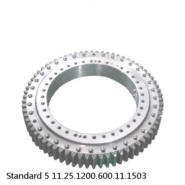 11.25.1200.600.11.1503 Standard 5 Slewing Ring Bearings #1 image
