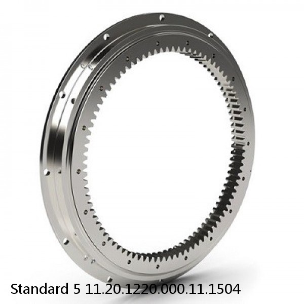 11.20.1220.000.11.1504 Standard 5 Slewing Ring Bearings #1 image