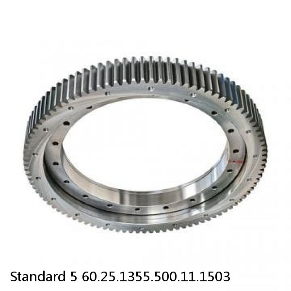 60.25.1355.500.11.1503 Standard 5 Slewing Ring Bearings #1 image