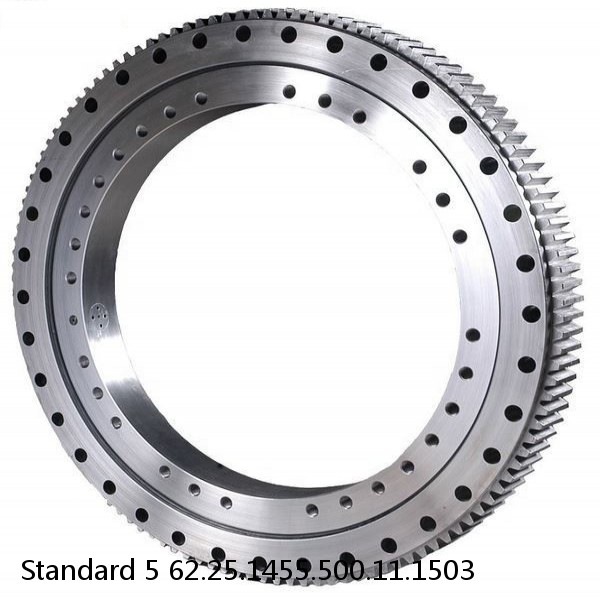 62.25.1455.500.11.1503 Standard 5 Slewing Ring Bearings #1 image