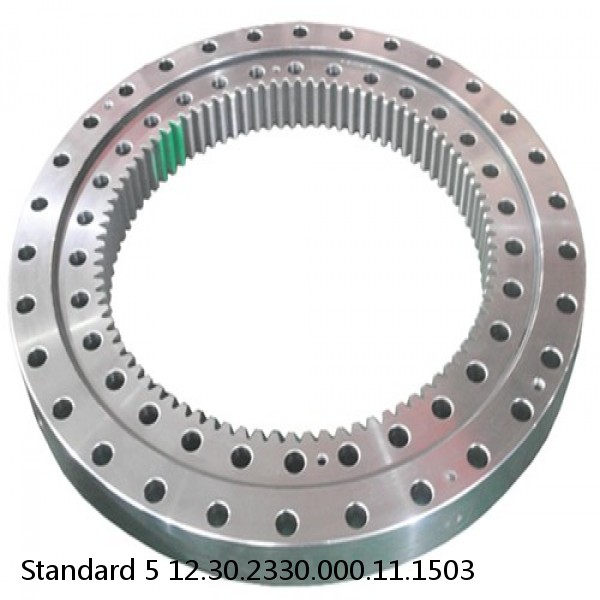 12.30.2330.000.11.1503 Standard 5 Slewing Ring Bearings #1 image