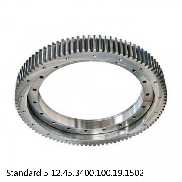 12.45.3400.100.19.1502 Standard 5 Slewing Ring Bearings #1 image